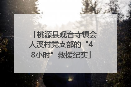 桃源县观音寺镇会人溪村党支部的“48小时”救援纪实