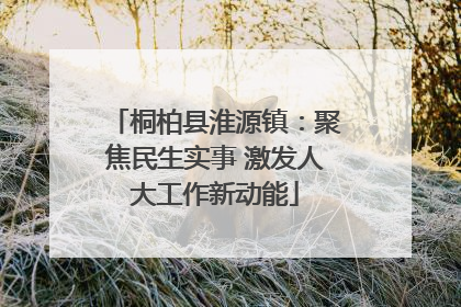 桐柏县淮源镇：聚焦民生实事 激发人大工作新动能