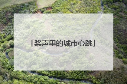 桨声里的城市心跳