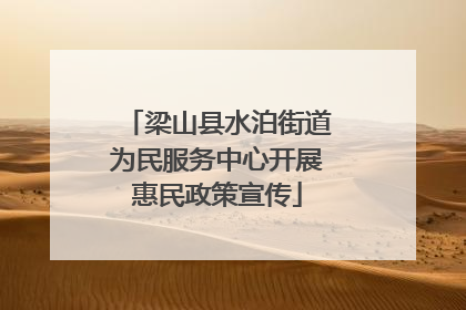 梁山县水泊街道为民服务中心开展惠民政策宣传