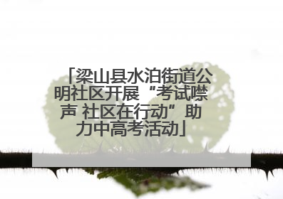 梁山县水泊街道公明社区开展“考试噤声 社区在行动”助力中高考活动