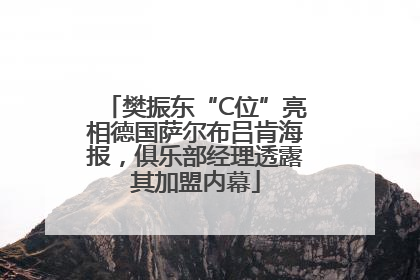 樊振东“C位”亮相德国萨尔布吕肯海报，俱乐部经理透露其加盟内幕