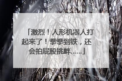 激烈！人形机器人打起来了！拳拳到铁，还会拍屁股挑衅……