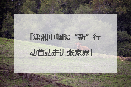 潇湘巾帼暖“新”行动首站走进张家界