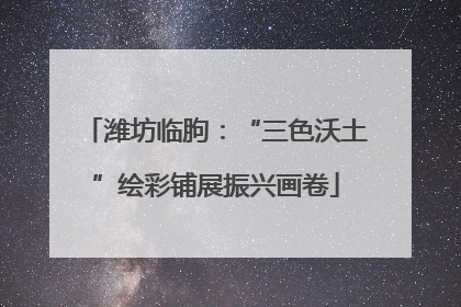 潍坊临朐：“三色沃土”绘彩铺展振兴画卷