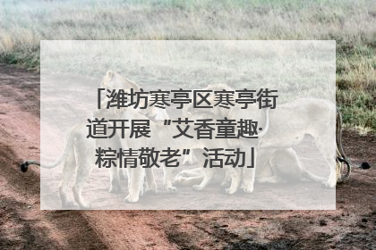 潍坊寒亭区寒亭街道开展“艾香童趣·粽情敬老”活动