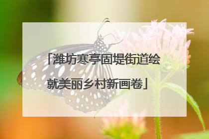 潍坊寒亭固堤街道绘就美丽乡村新画卷