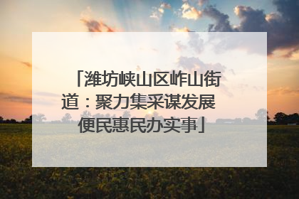 潍坊峡山区岞山街道：聚力集采谋发展 便民惠民办实事
