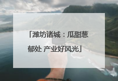 潍坊诸城：瓜甜葱郁处 产业好风光