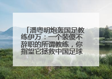 潘粤明炮轰国足教练伊万：一个装傻不辞职的所谓教练，你指望它拯救中国足球！此前曾多次发文评价国足