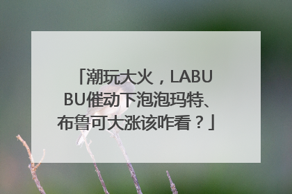 潮玩大火，LABUBU催动下泡泡玛特、布鲁可大涨该咋看？