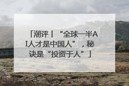 潮评丨“全球一半AI人才是中国人”，秘诀是“投资于人”