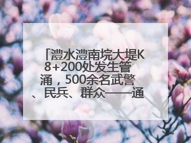 澧水澧南垸大堤K8+200处发生管涌，500余名武警、民兵、群众——通宵达旦战管涌