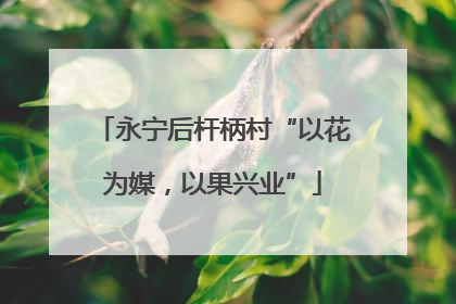 永宁后杆柄村“以花为媒，以果兴业”