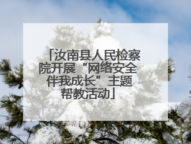 汝南县人民检察院开展“网络安全 伴我成长”主题帮教活动