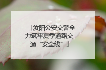 汝阳公安交警全力筑牢夏季道路交通“安全线”