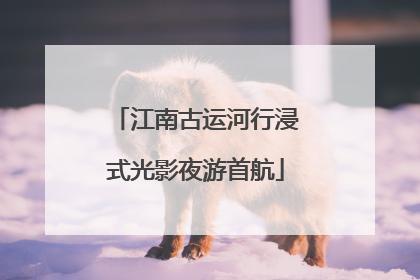 江南古运河行浸式光影夜游首航