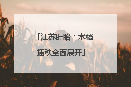 江苏盱眙：水稻插秧全面展开
