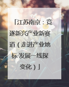 江苏南京:竞逐新兴产业新赛道(走进产业地标·发展一线探变化)