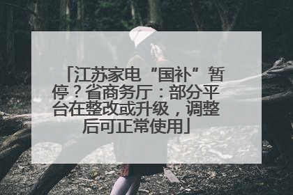 江苏家电“国补”暂停？省商务厅：部分平台在整改或升级，调整后可正常使用