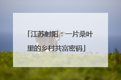 江苏射阳：一片桑叶里的乡村共富密码