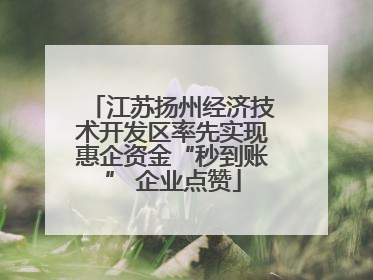 江苏扬州经济技术开发区率先实现惠企资金“秒到账” 企业点赞