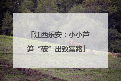 江西乐安：小小芦笋“破”出致富路