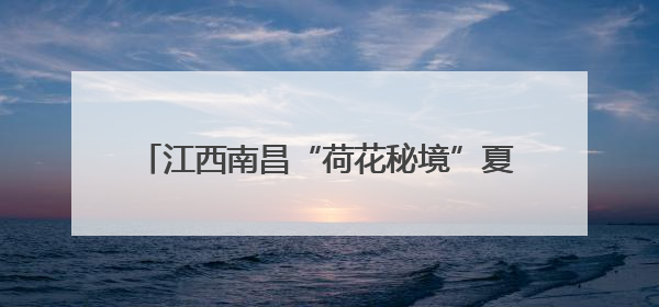 江西南昌“荷花秘境”夏日盛放 市民赏荷正当时
