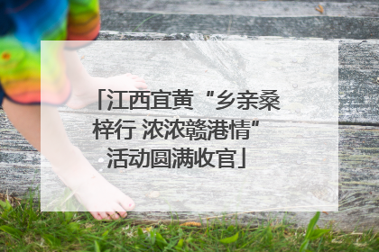 江西宜黄“乡亲桑梓行 浓浓赣港情”活动圆满收官