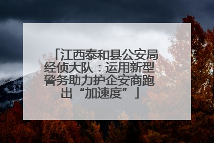 江西泰和县公安局经侦大队：运用新型警务助力护企安商跑出“加速度”