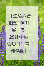 江陵六合垸管理区开展 “5.29计生协会员日”宣传活动