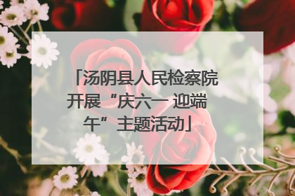 汤阴县人民检察院开展“庆六一 迎端午”主题活动