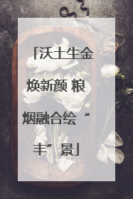 沃土生金焕新颜 粮烟融合绘“丰”景
