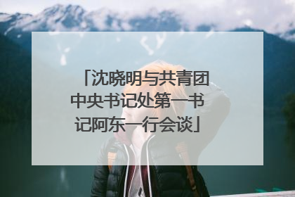 沈晓明与共青团中央书记处第一书记阿东一行会谈