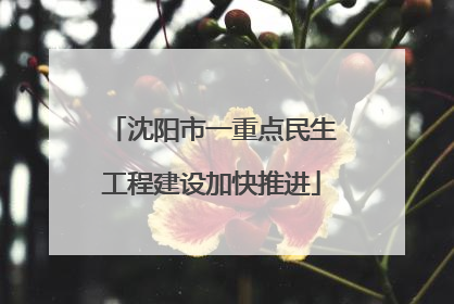沈阳市一重点民生工程建设加快推进