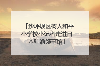 沙坪坝区树人和平小学校小记者走进日本驻渝领事馆