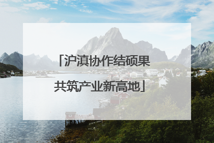 沪滇协作结硕果 共筑产业新高地