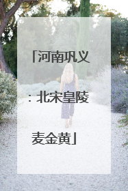 河南巩义：北宋皇陵麦金黄