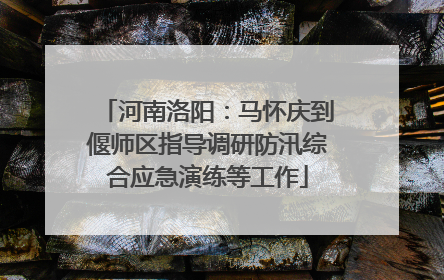河南洛阳：马怀庆到偃师区指导调研防汛综合应急演练等工作