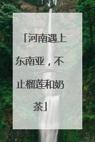 河南遇上东南亚，不止榴莲和奶茶