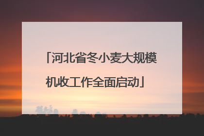 河北省冬小麦大规模机收工作全面启动
