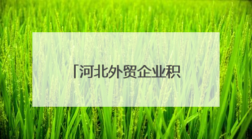 河北外贸企业积极寻求新增长点