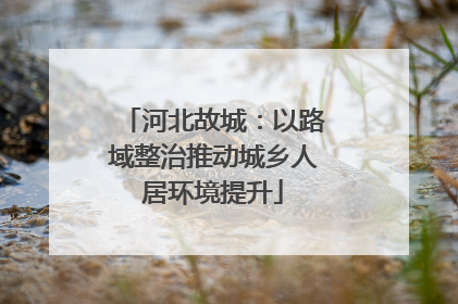 河北故城：以路域整治推动城乡人居环境提升