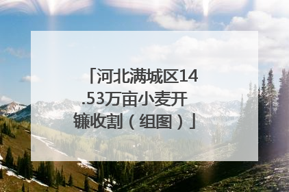河北满城区14.53万亩小麦开镰收割（组图）