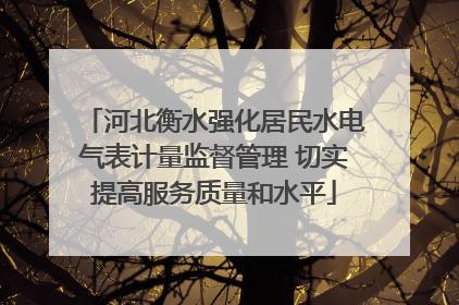 河北衡水强化居民水电气表计量监督管理 切实提高服务质量和水平
