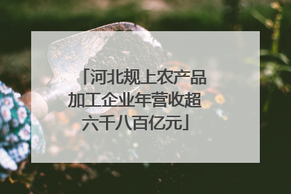 河北规上农产品加工企业年营收超六千八百亿元