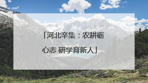 河北辛集：农耕砺心志 研学育新人