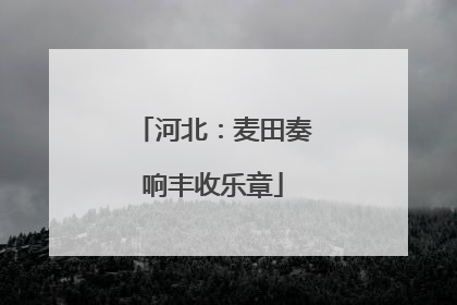 河北：麦田奏响丰收乐章