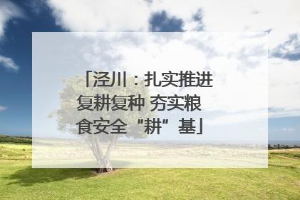泾川：扎实推进复耕复种 夯实粮食安全“耕”基