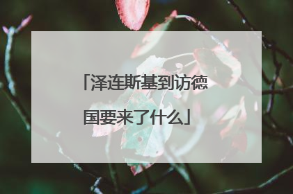 泽连斯基到访德国要来了什么